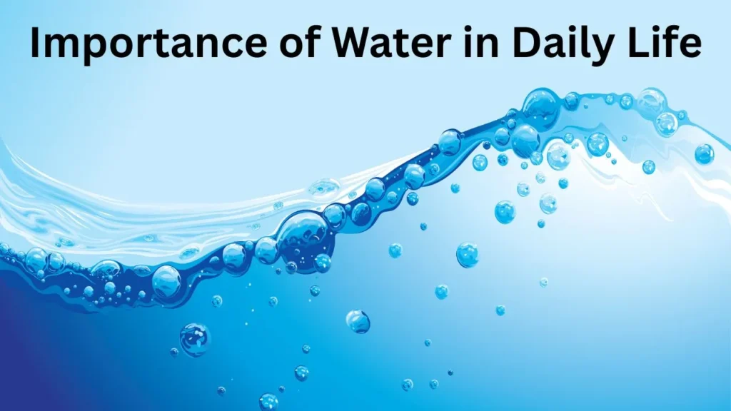 Importance of Water in Daily Life