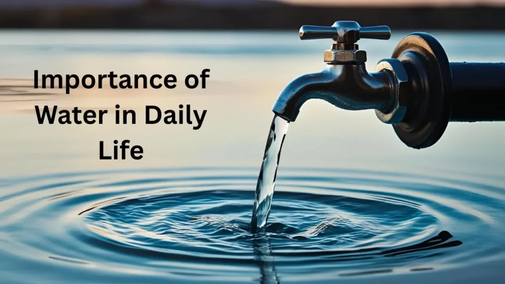 Importance of Water in Daily Life
