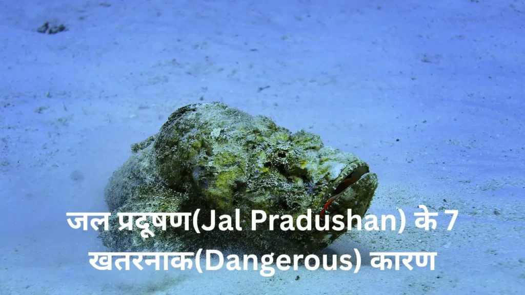 जल प्रदूषण(Jal Pradushan) के 7 खतरनाक(Dangerous) कारण